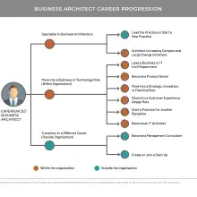 Organization-style chart showing progression of business architect career choices